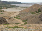 P8010141