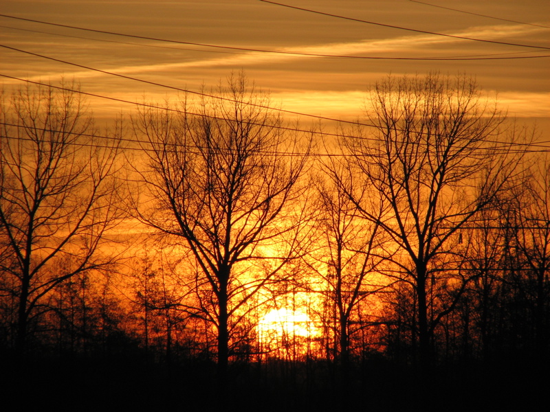 IMG_9892.JPG